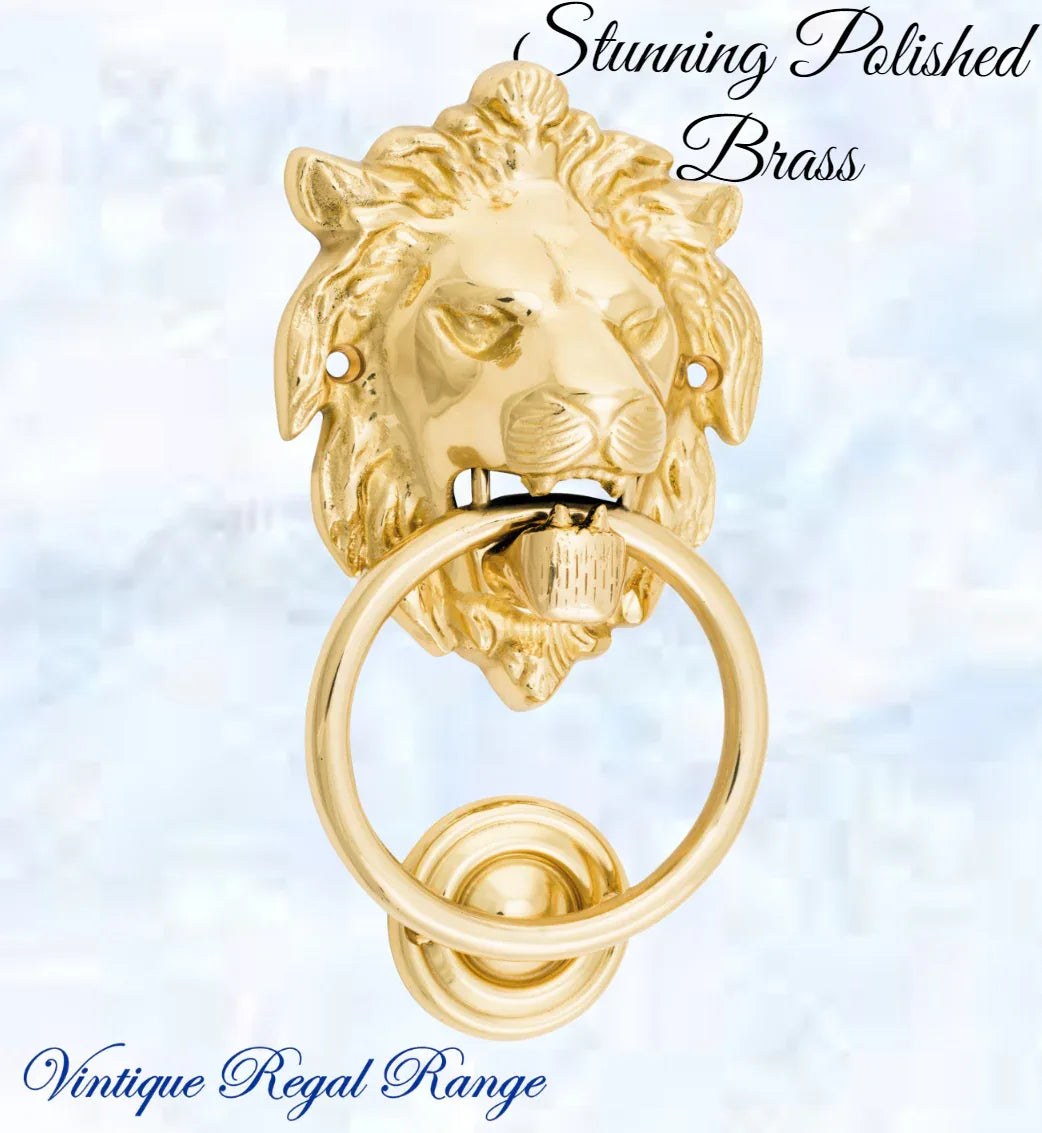 Polished Brass Lion Head door Knocker 100mm ring - Vintique Concepts