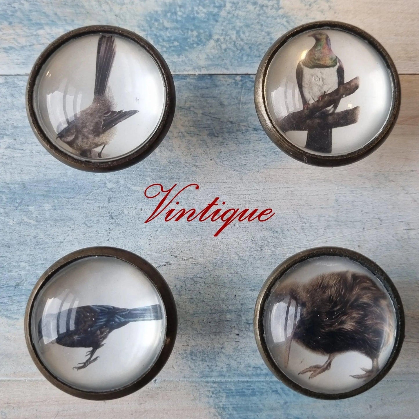 Olivia Bezett's KIWI Native Bird antique Gold furniture Knob-38mm dia-Vintique Concepts