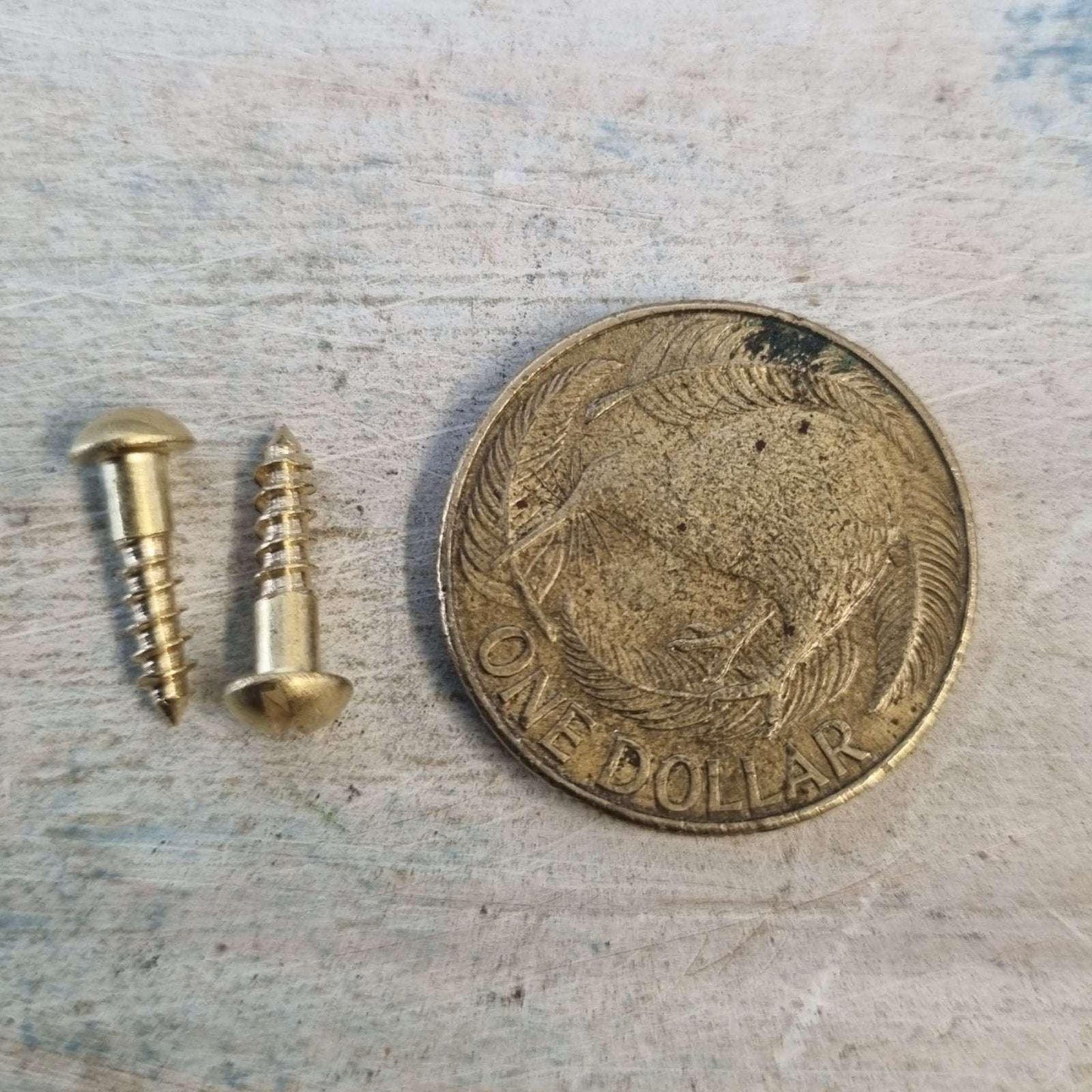 12mm m2 Round head Slot Solid Brass wood screws (pkt 10) - Vintique Concepts