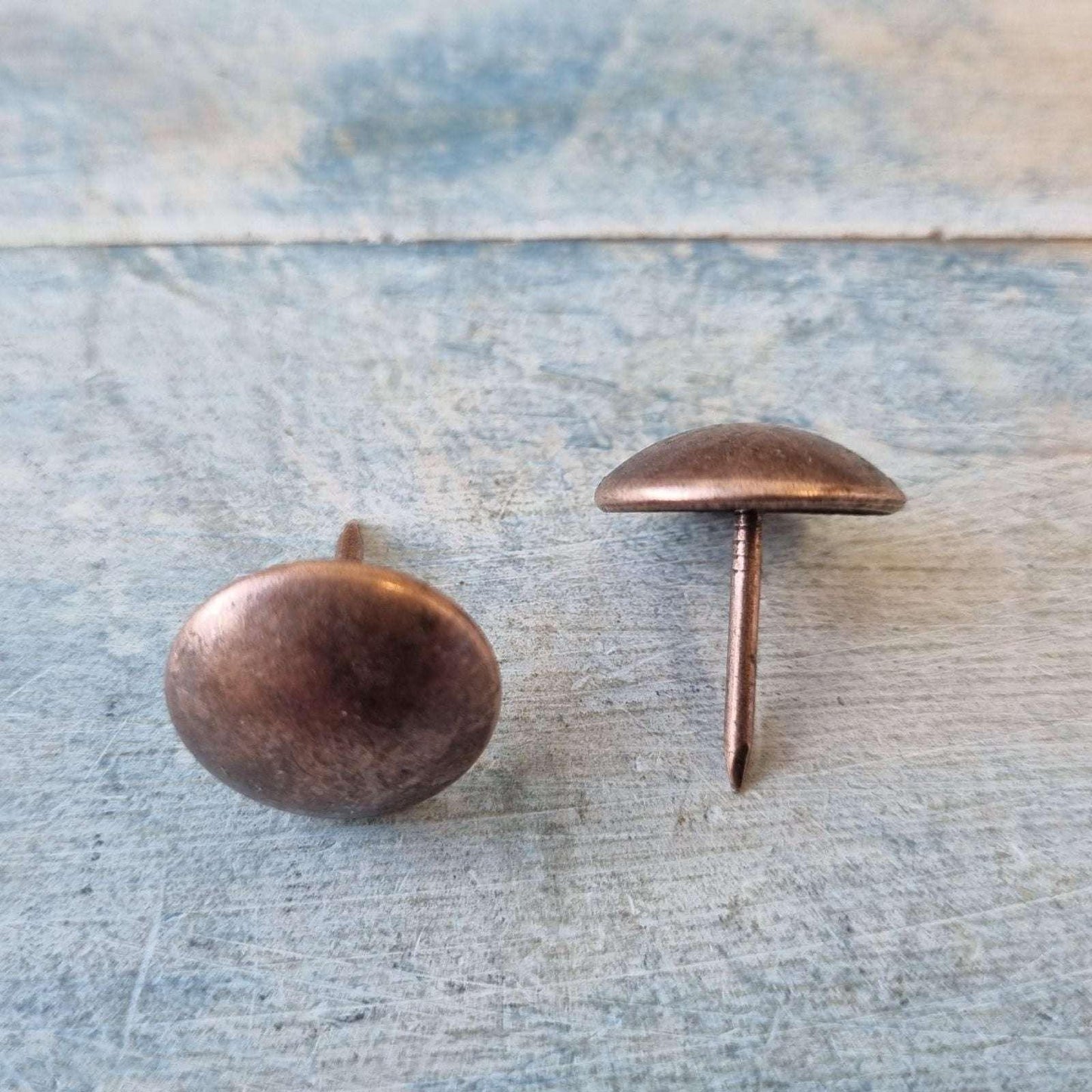 Jumbo copper coloured push Pins or Upholstery Pins 19mm dia - Vintique Concepts