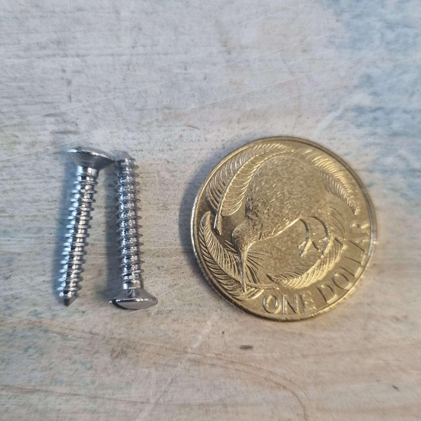 19mm 5 gauge Domed slot head Chrome plated Brass wood screws (pkt 10) - Vintique Concepts