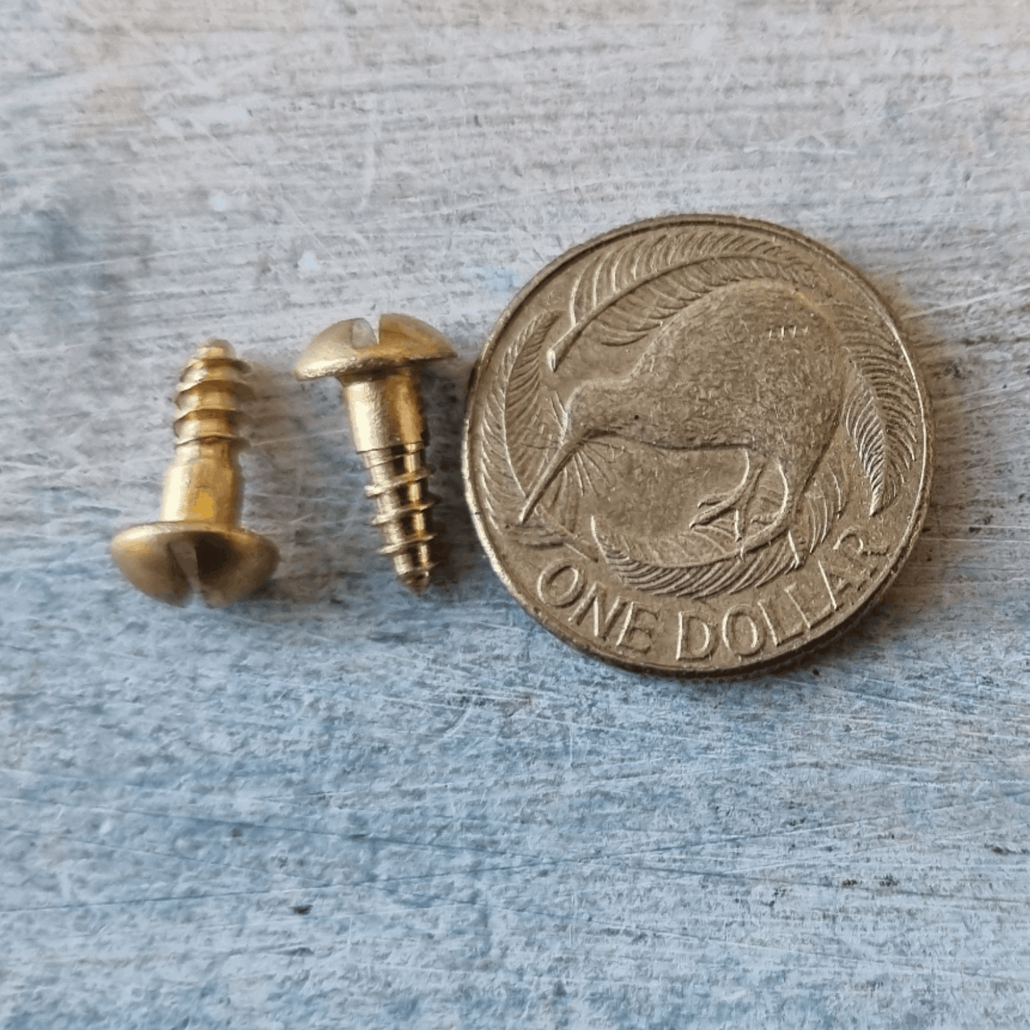 Round head Slot Solid Brass wood screws 12mm M4