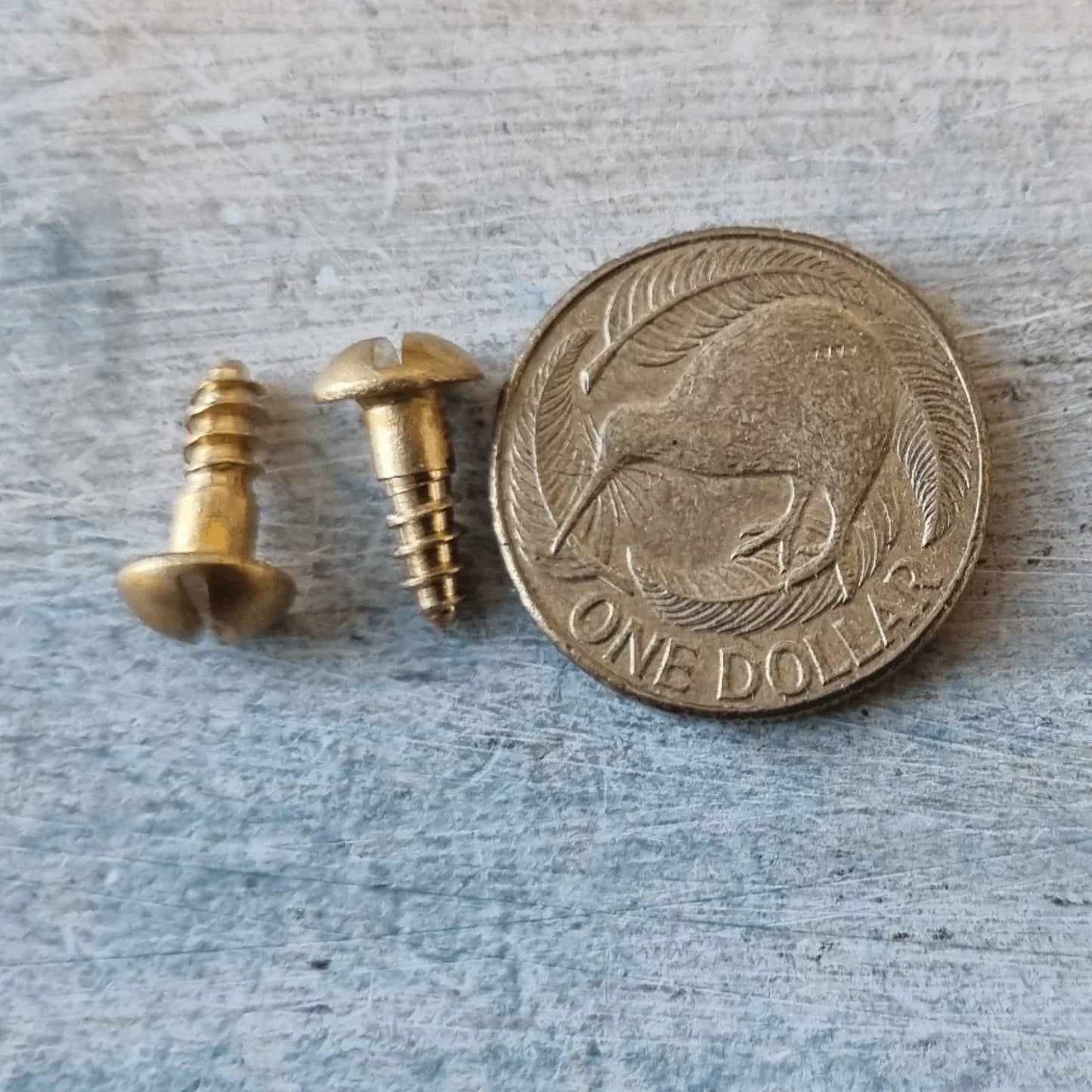 10mm /12mm M4 Round head Slot Solid Brass wood screws - Vintique Concepts