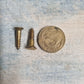 Antique Solid Brass wood screws 3/4''(19.05mm) 8 gauge