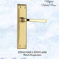 Polished Brass Milford longplate lever door handle 225 x 50mm (4 types)-Vintique Concepts