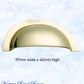 Regal Polished Brass Classico smooth Cup Drawer pull-Vintique Concepts