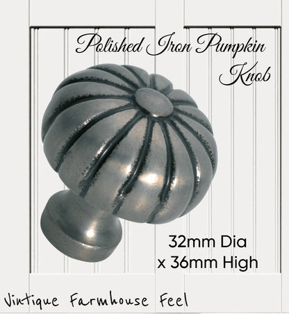 Farmhouse Polished Iron Pumpkin Knob (2 sizes)-Vintique Concepts