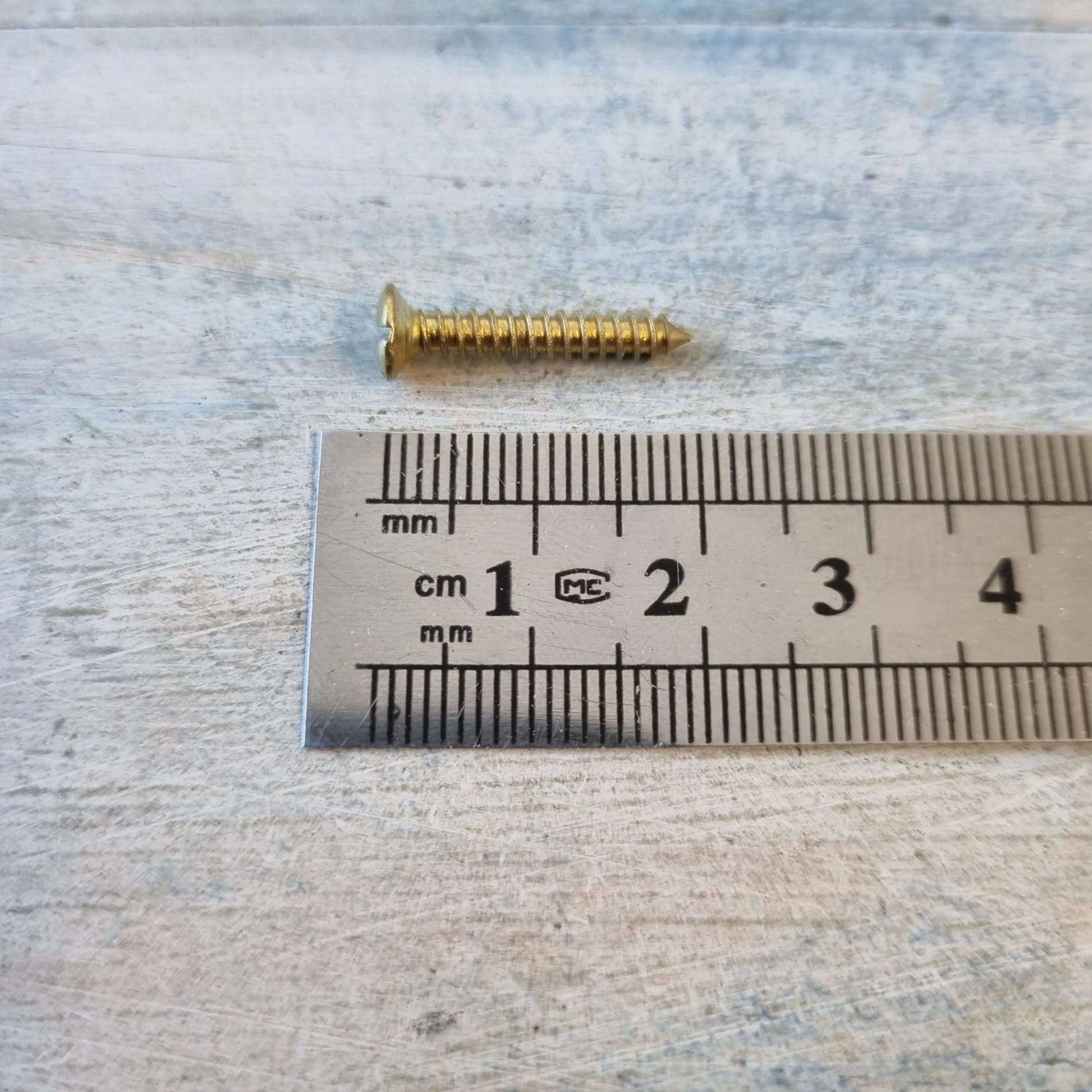19mm 5 gauge Domed slot head Solid Brass wood screws - Vintique Concepts