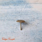 Daisy Push Pins Atq Gold or Upholstery Pins (11mm dia) Pkt of 10-Vintique Concepts