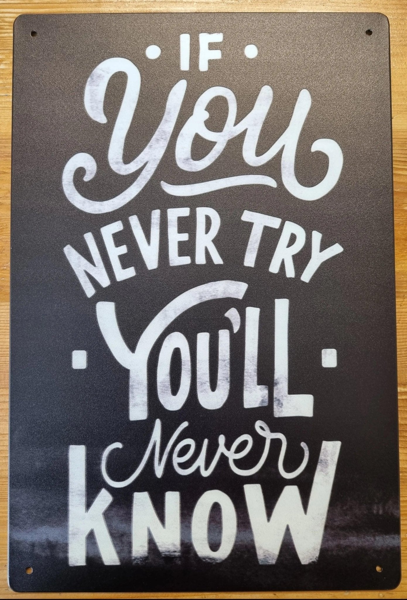 If you don't try you'll never know ....insprational Tin Sign-30cm x 20cm *-Vintique Concepts
