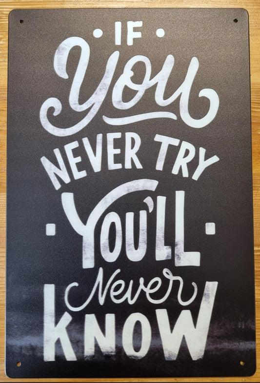If you don't try you'll never know ....insprational Tin Sign-30cm x 20cm *-Vintique Concepts