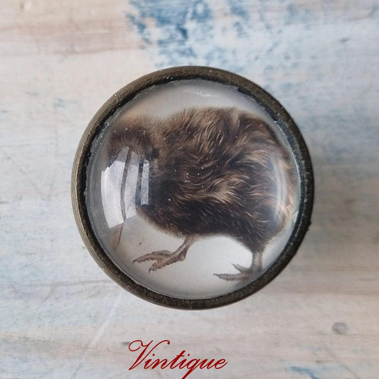 Olivia Bezett's KIWI Native Bird antique Gold furniture Knob-38mm dia-Vintique Concepts