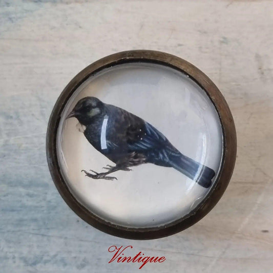 Olivia Bezett's TUI Native Bird antique Gold furniture Knob-38mm dia-Vintique Concepts
