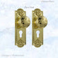 Polished Brass Francais Door knob W/backplate 188mmx58mm - Vintique Concepts
