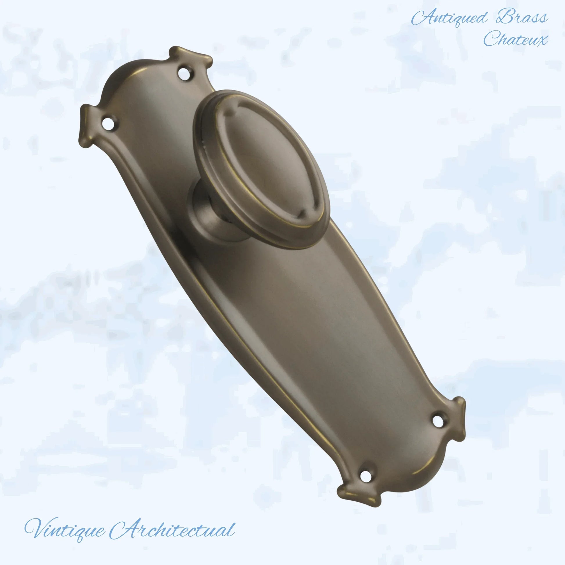 Antiqued Brass Chateau Door knob W/backplate 197 x 68mm - Vintique Concepts