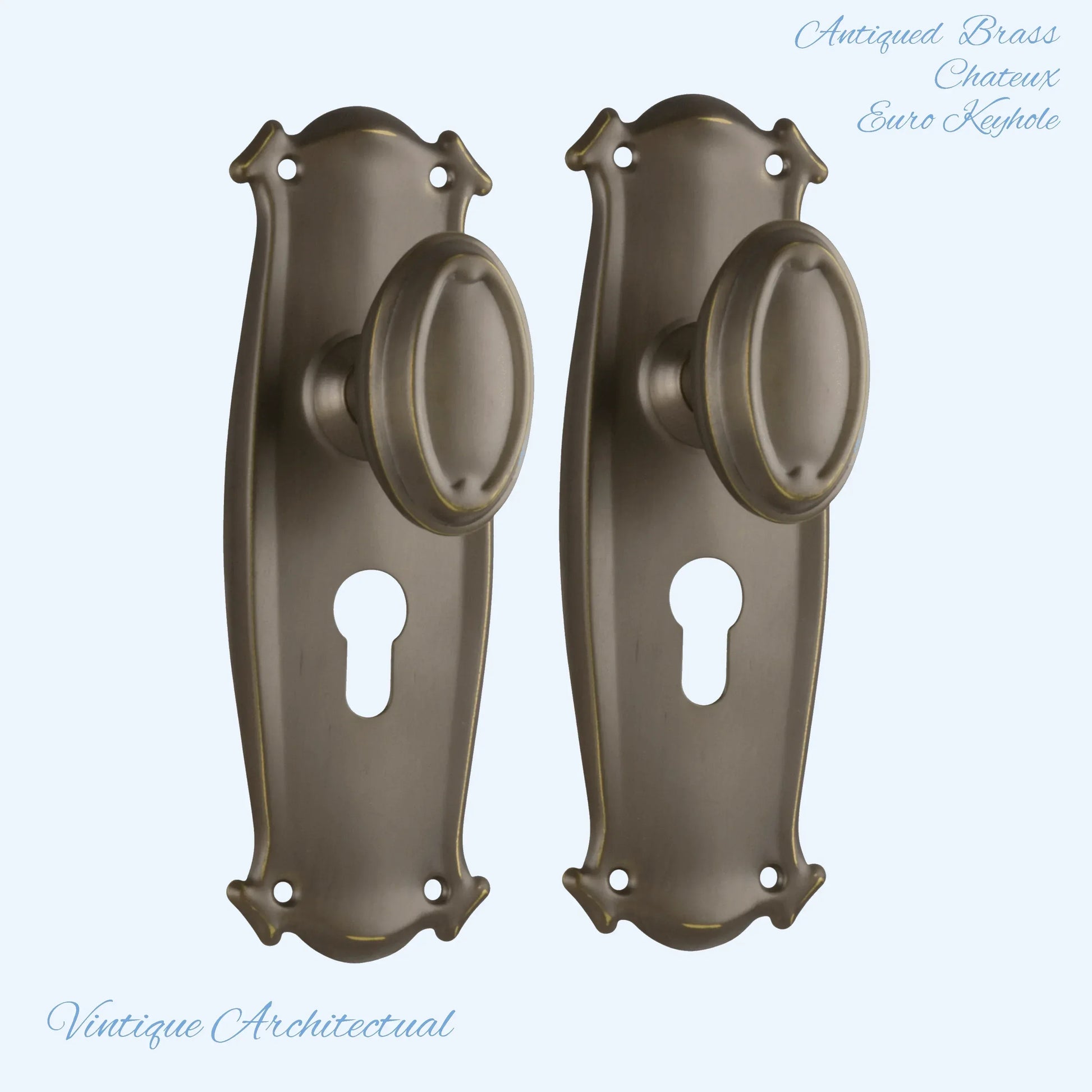 Antiqued Brass Chateau Door knob W/backplate 197 x 68mm - Vintique Concepts