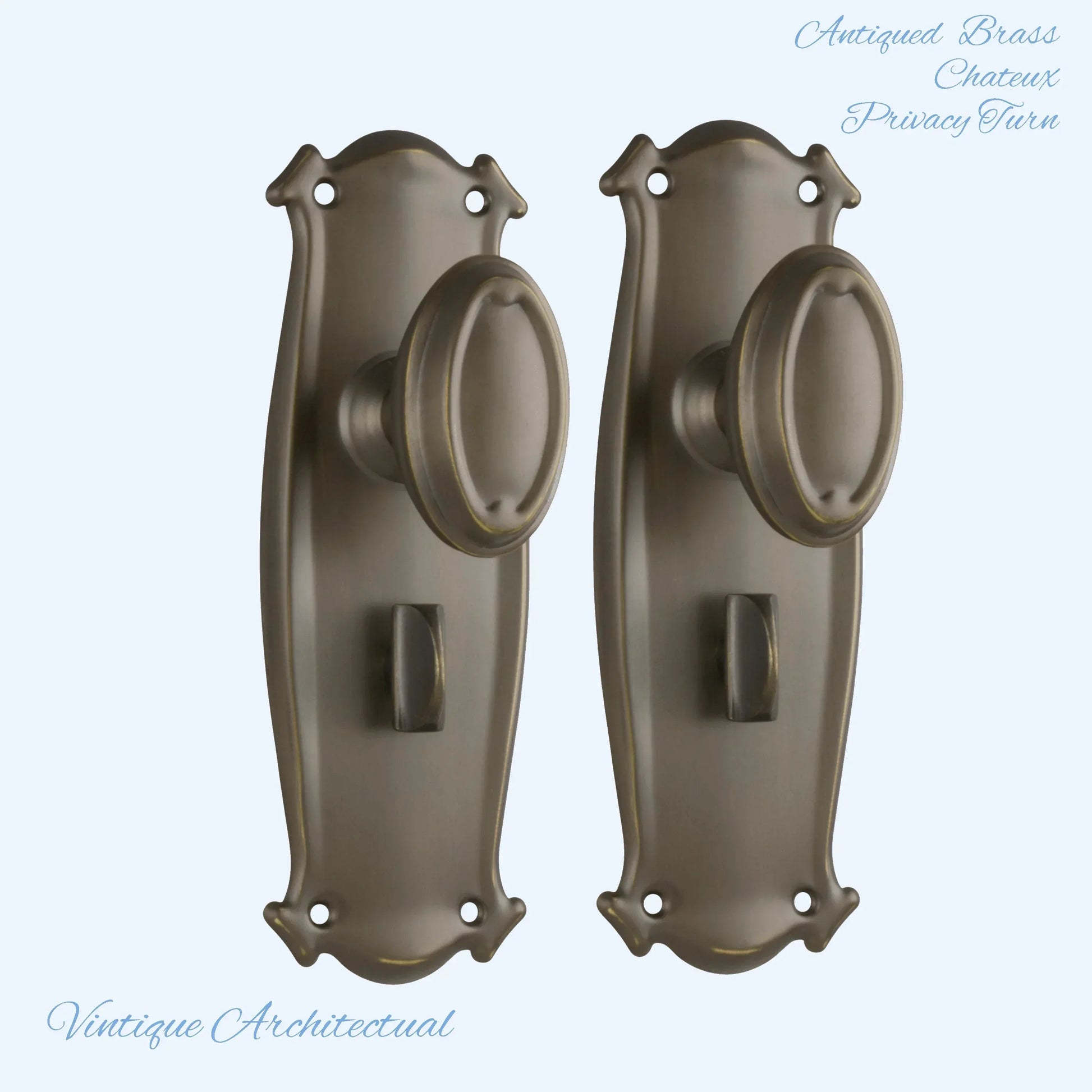 Antiqued Brass Chateau Door knob W/backplate 197 x 68mm - Vintique Concepts