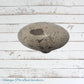 Cream Painted (shabby chic)  Black oval Bakelite door Knobs (Each)