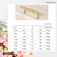 "Parma" Sovereign Spire Brass cabinet T-Bar Handles -7 Sizes