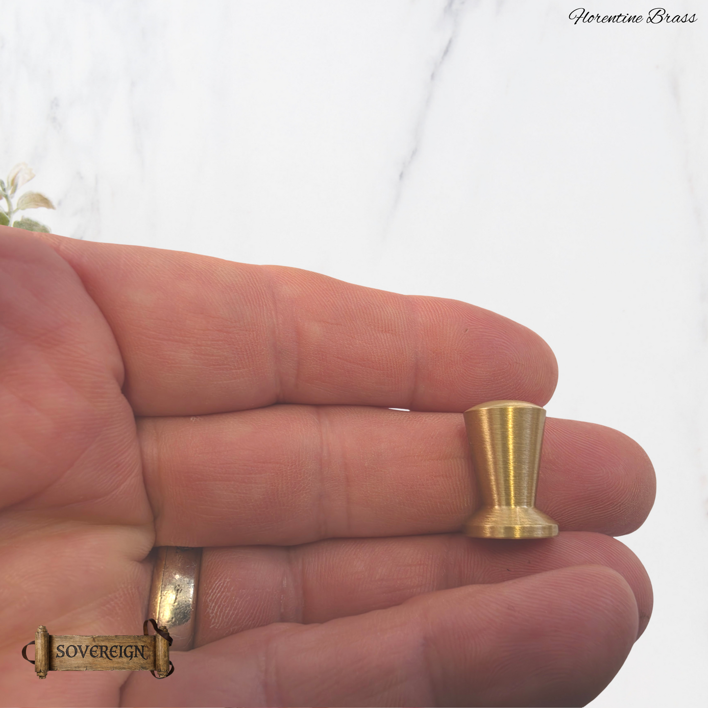 "Florentine" Sovereign Small & Tall 14mm dia Brushed Brass box knob