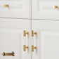 "Chiara" Sovereign Clear Acrylic & Brass cabinet T-Bar Handles -5 Sizes
