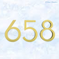 Narrow 150mm 304 Gold Aluminium floating Street numbers (0-9)