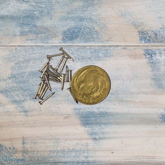 Twenty 8mm silver hardware pins scattered next to a gold dollar coin on a light blue wooden surface.