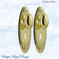 Polished Brass Versaille Door knob W/backplate 205 x 60.mm - Vintique Concepts