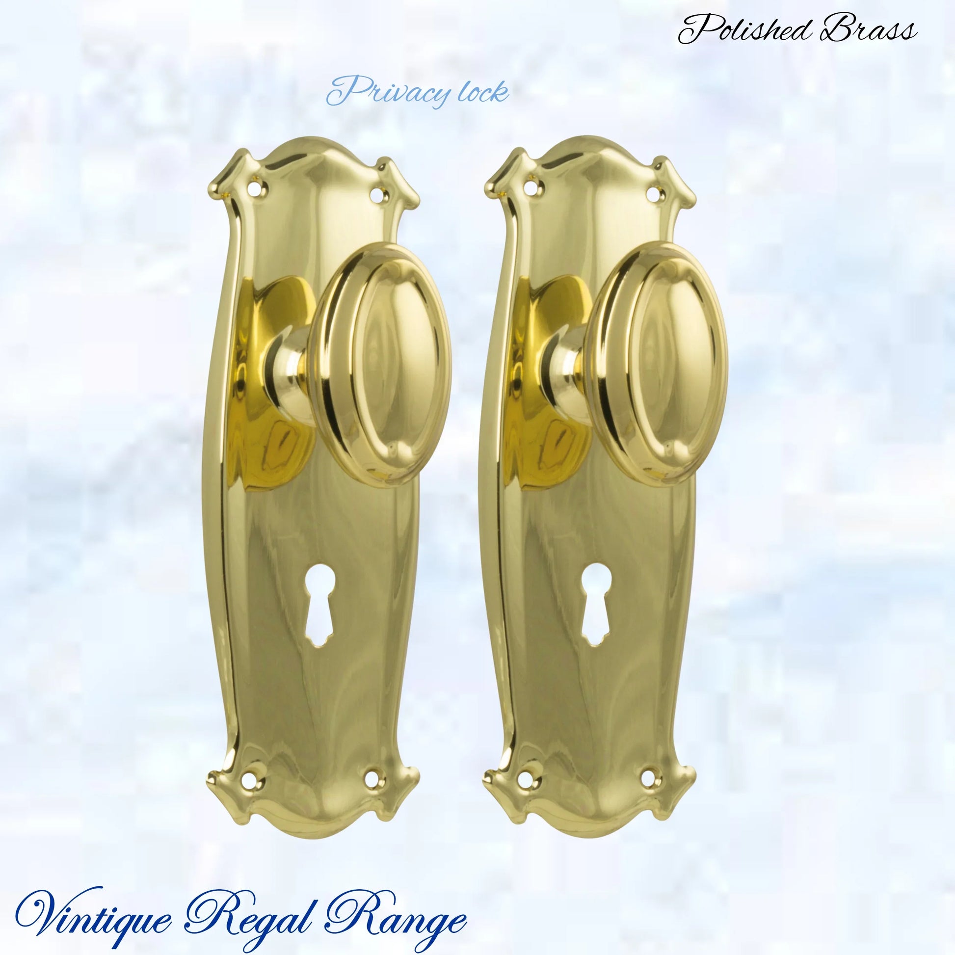 Polished Brass Chateau Door knob W/backplate 197 x 68mm - Vintique Concepts