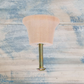 Natural Wood Top Hat furniture cabinet knob 25mm dia
