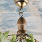 Teardrop Ceiling Rose Cover Plate Lamp ,chandelier, plant Hook-Olde Gold