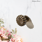 "Bedonia" Sovereign Ribbed Mushroom  Brass cabinet / Drawer Knob 24mm dia