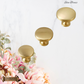"Elice" Sovereign Smooth contoured Brushed Brass cabinet / Drawer Knob -3 sizes