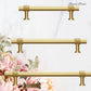 "Biccari" Sovereign Wheel Brushed Brass cabinet T-Bar Handles -7 Sizes