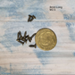 8mm long Bronze wood screw (pkt 10) M2.5