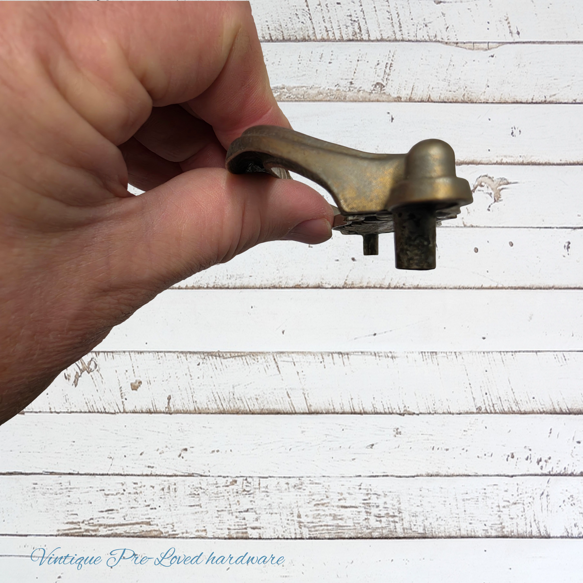 Antique Tudor hardware NZ alloy fixed bail cabinet knob-recycled