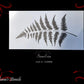 Silver Fern furniture & Wall  paint stencil 230mm x 120mm-Vintique Concepts
